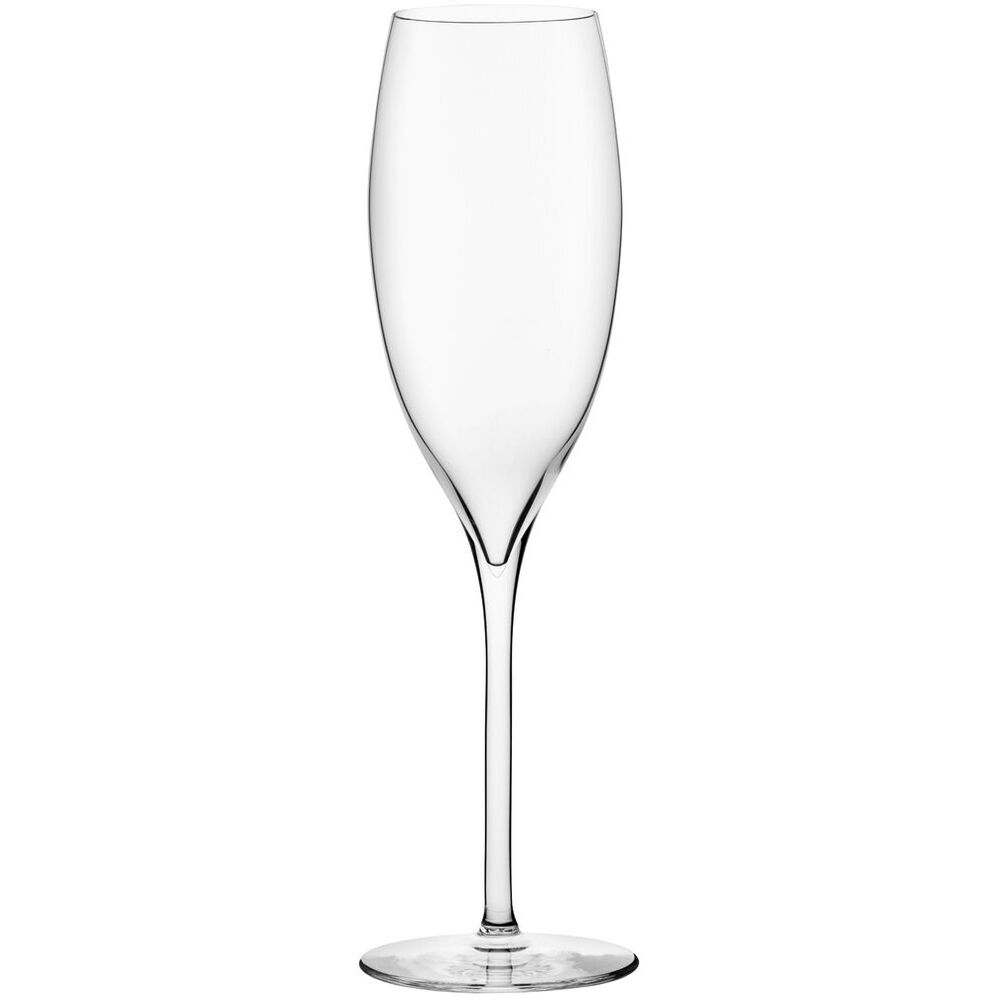 Picture of Terroir Champagne Flute 10.5oz (30cl)