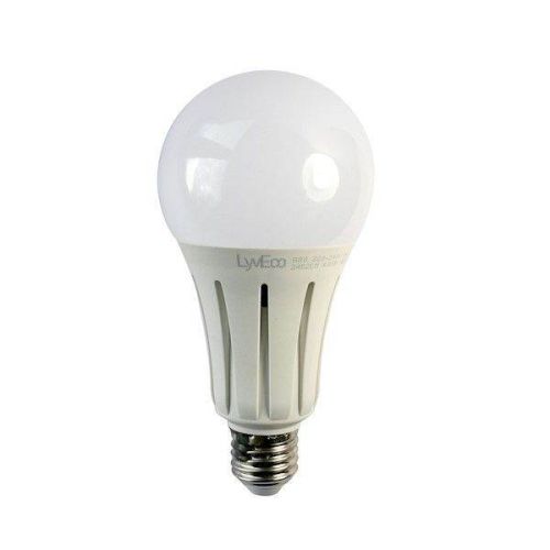Picture of LYVECO BC 24W LED 240V A80 (GLS) COOL WHITE