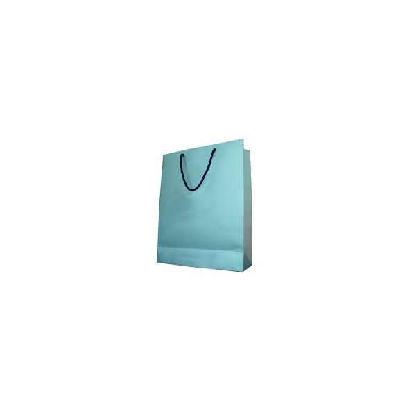 Picture of Blue Rope handle Luxury Bag Small 200/case