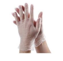 Picture of Vinyl Gloves, Powdered Clear Large 10x100 pk