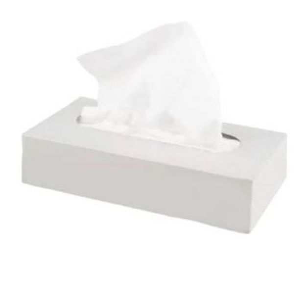 Picture of Flat Box Facial Tissue White 2ply 100 Sheets 36pk