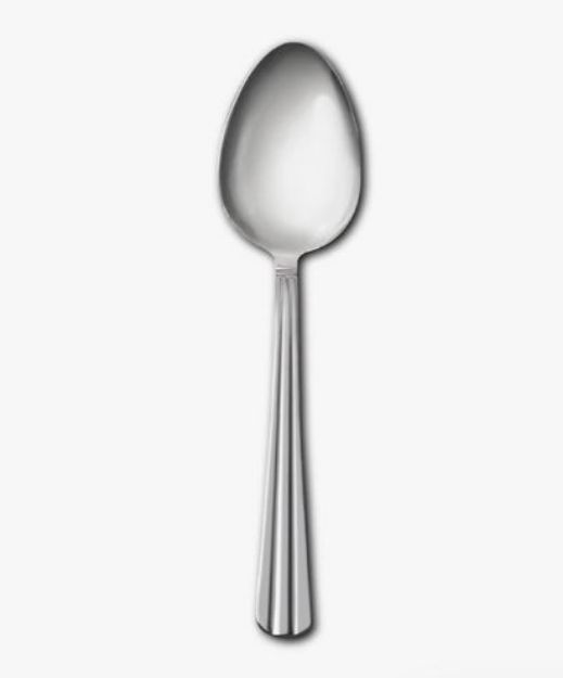 Picture of Nova Stainless Steel Table Spoon  (1)