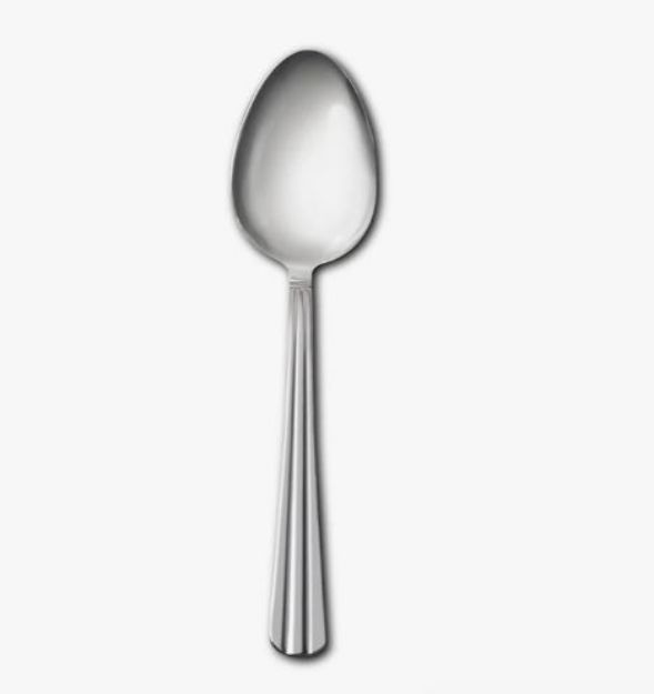 Picture of Nova Stainless Steel Tea Spoon (1)